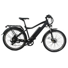 High Quality New Design 3X9 Speed 36V 250W Electric Bike